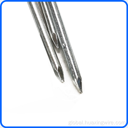 Common Nails galvanized polished common nail Supplier